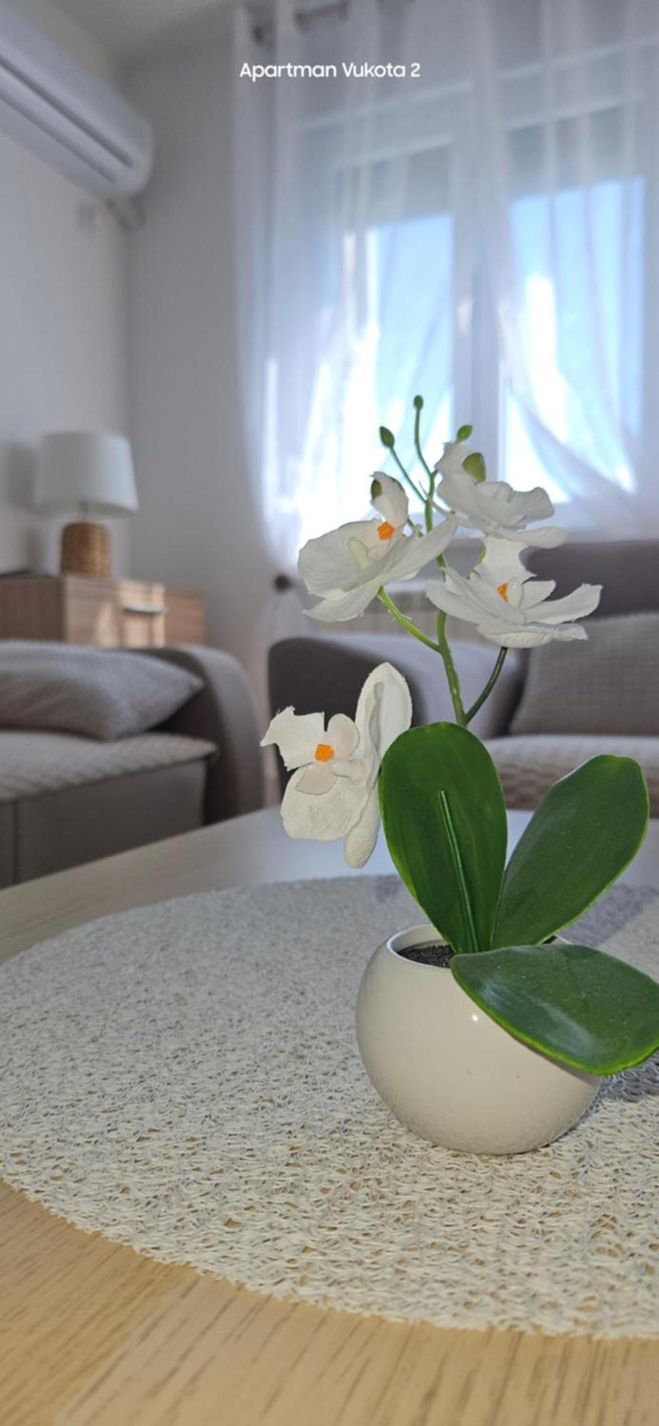 Apartman Vukota 2 بايرت المظهر الخارجي الصورة